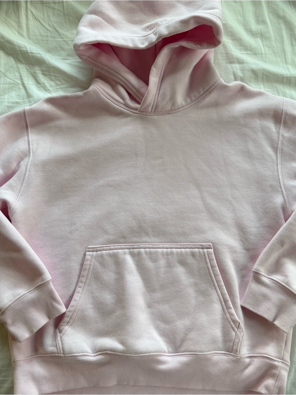 Aritzia Light Pink Pullover Hoodie